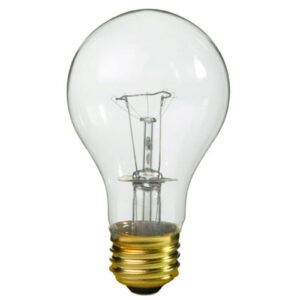100 Watts Bulb