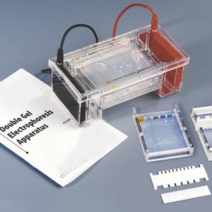 Double Gel Electrophoresis Apparatus