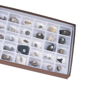 Advanced Fossil Collection, Set of 30