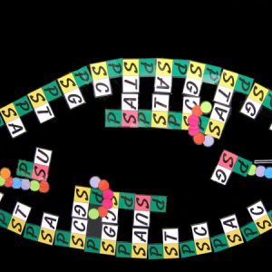 Magnetic Teaching Aid ? DNA/RNA Protein