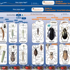Key to Identifying Water Invertebrates