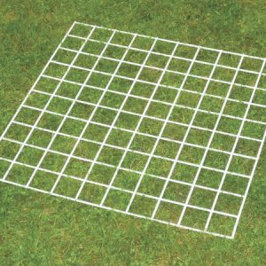 Grid Quadrat 100 squares