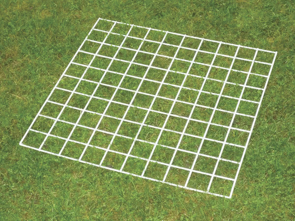 Grid Quadrat 100 squares