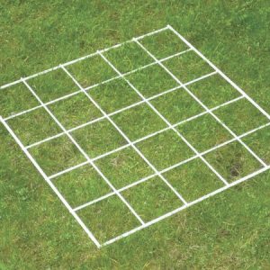 Grid Quadrat 25 squares