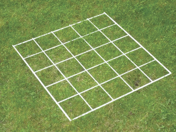 Grid Quadrat 25 squares
