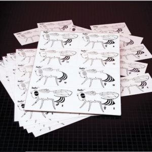 Fruit fly Genetics Kit