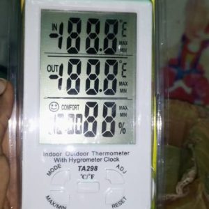 Digital room thermometer