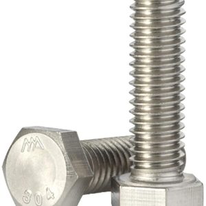 Bolt Hexagonal 11MX100M ss