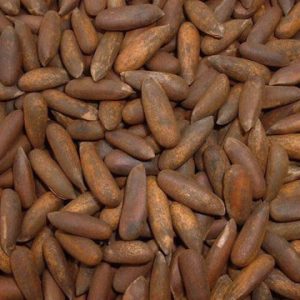 Pine Nuts - Jalgoza
