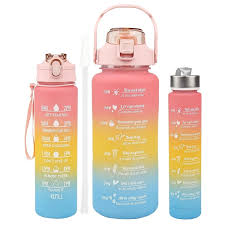 3 IN 1 BOTTLE