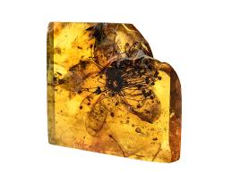 Amber