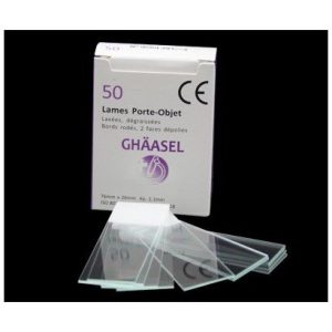 50 Gh?asel Frosted End Microscope Slides, Ground Edges & 90?