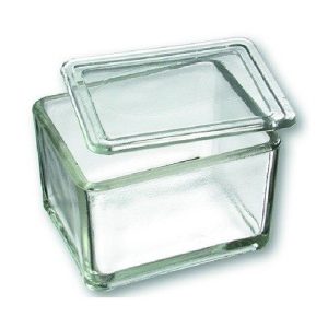 Staining Jar