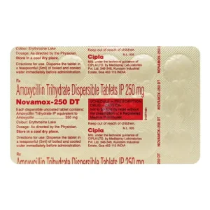 AMOXYCILLIN  (NORVA-ACCES) DT  TABS 250MG 100?S