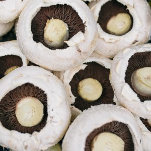Flat mushroom