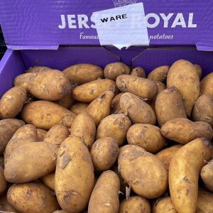 Genuine Jersey Royal Potatoes (Ware)