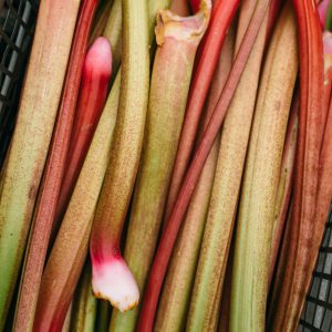English Rhubharb
