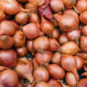 Shallots
