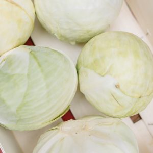 English White cabbage