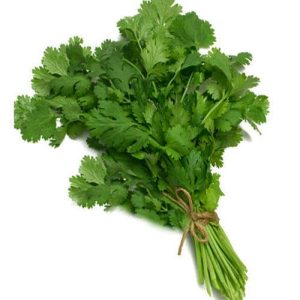 Coriander