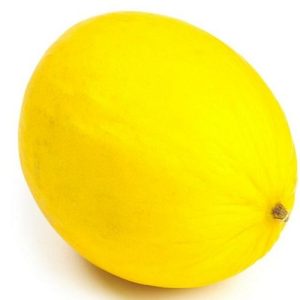 Honey drew melon