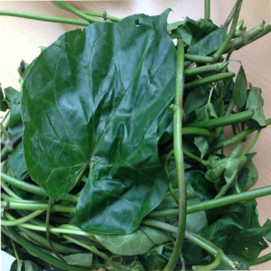 Utazi Leaf