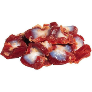 Gizzard