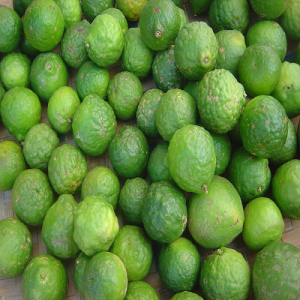 LEMON (Local)