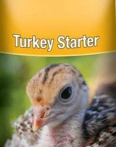 Turkey Starter Feed ( 25kg Bags)