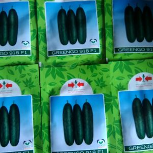 Greengo 918 F1 Cucumber Seeds (500 Seed)