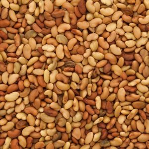 Alfalfa seeds | 1kg