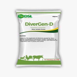 Divergen-D (DSL Brand | Antimicrobial Drug | 100g)