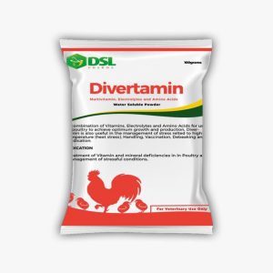 Divertamin (Multivitamins | 100g)
