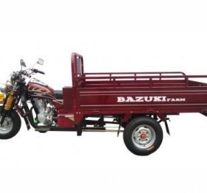 Tricycle Repair Services