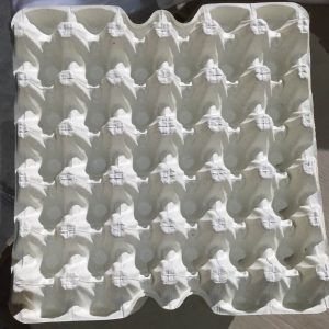OFFER: 200 Packs of Ekopak Egg Crates (30 Dimples) & Get 1 HTC Thermometer FREE