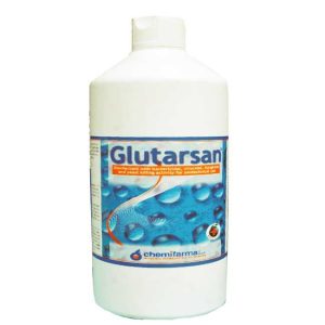 Glutarsan Disinfectant