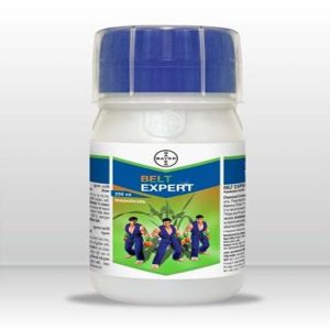 Belt Expert | 100ML