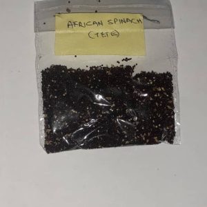 Amaranthus Seeds (Green Tete Vegetable)