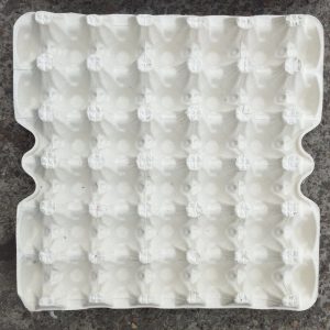 EKOPAK Water Resistant Egg Crates(100 Pcs)