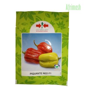 Piquante F1 Hot Pepper Seeds | 500 Seeds