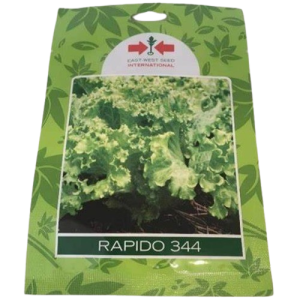 Rapido 344 Lettuce seeds | 10g | 50g | East West Seeds