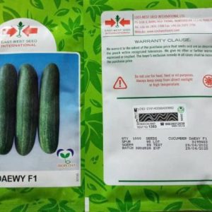 Daewy F1(Cucumber seed) | 500 seeds
