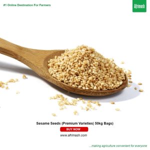 Sesame Seeds (Premium Varieties| 1kg)