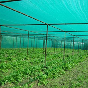 Greenhouse Shade Net ? UV Stabilized Agricultural Shade Net for Crop Protection