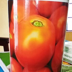 Tomato Mona F1 50g