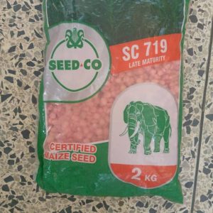 Seed Co Maize Seeds | (SC 719 Late Maturity) | (SC 649 Medium Maturing) | (SC526 Early Maturing) | 2KG