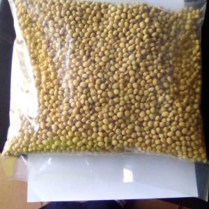 Soya Beans Seeds for Planting (1kg Packs and 50kg bags)