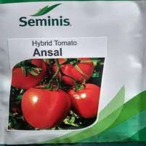 Ansal F1 Tomato Seeds | 5g |1000 Seeds | 10g