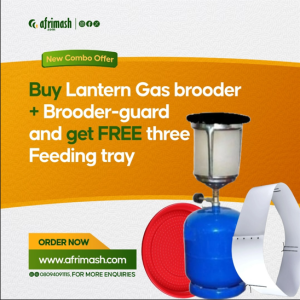 Poultry Brooding Combo: (Lantern Brooder | Brooder Guard | FREE 3 Feeding Trays) ? Valid till September 10th