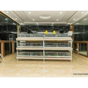 Broiler/Brooding Cage (3 Tiers)